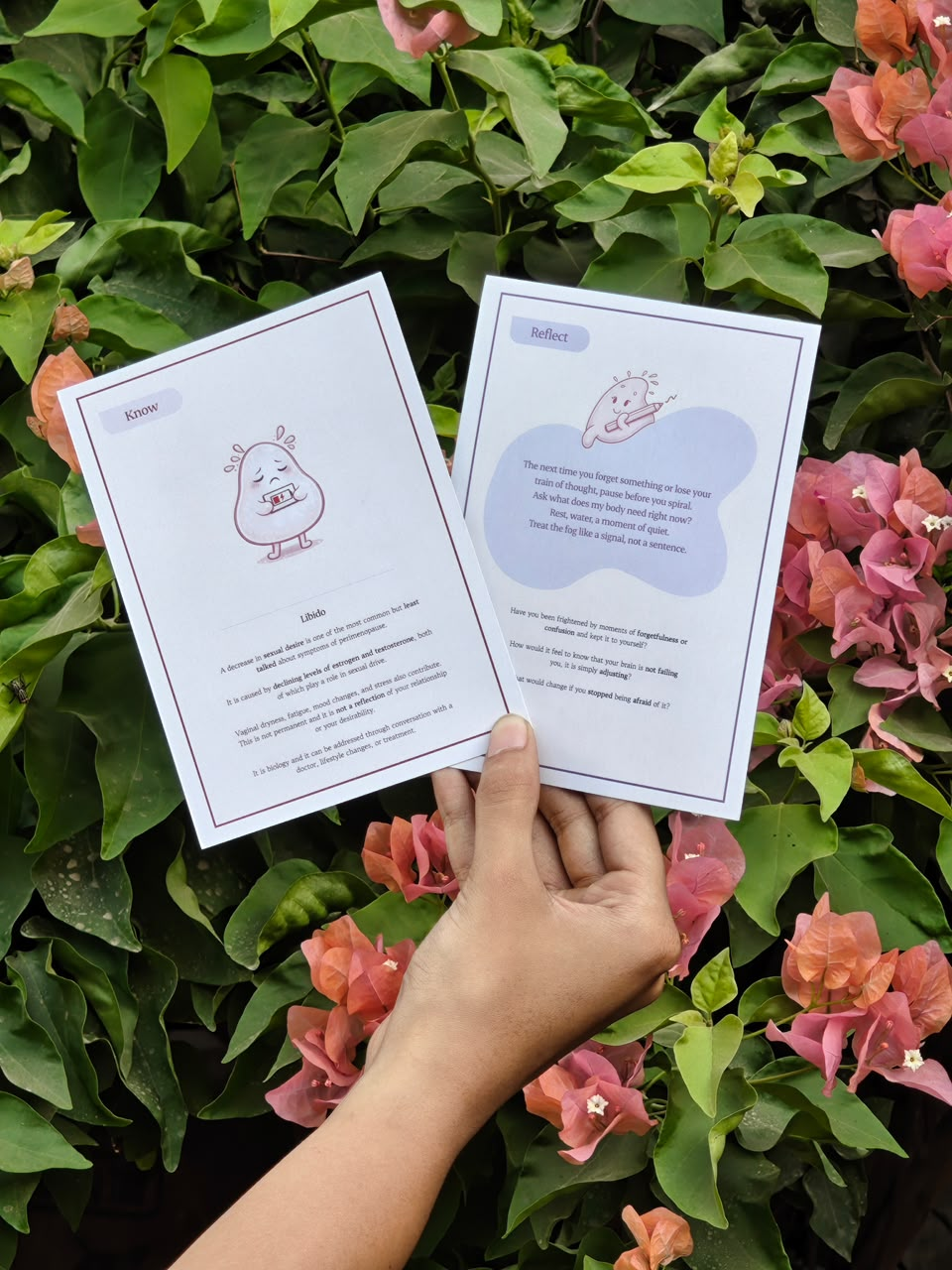 Know and Reflect cards photographed among flowering plants