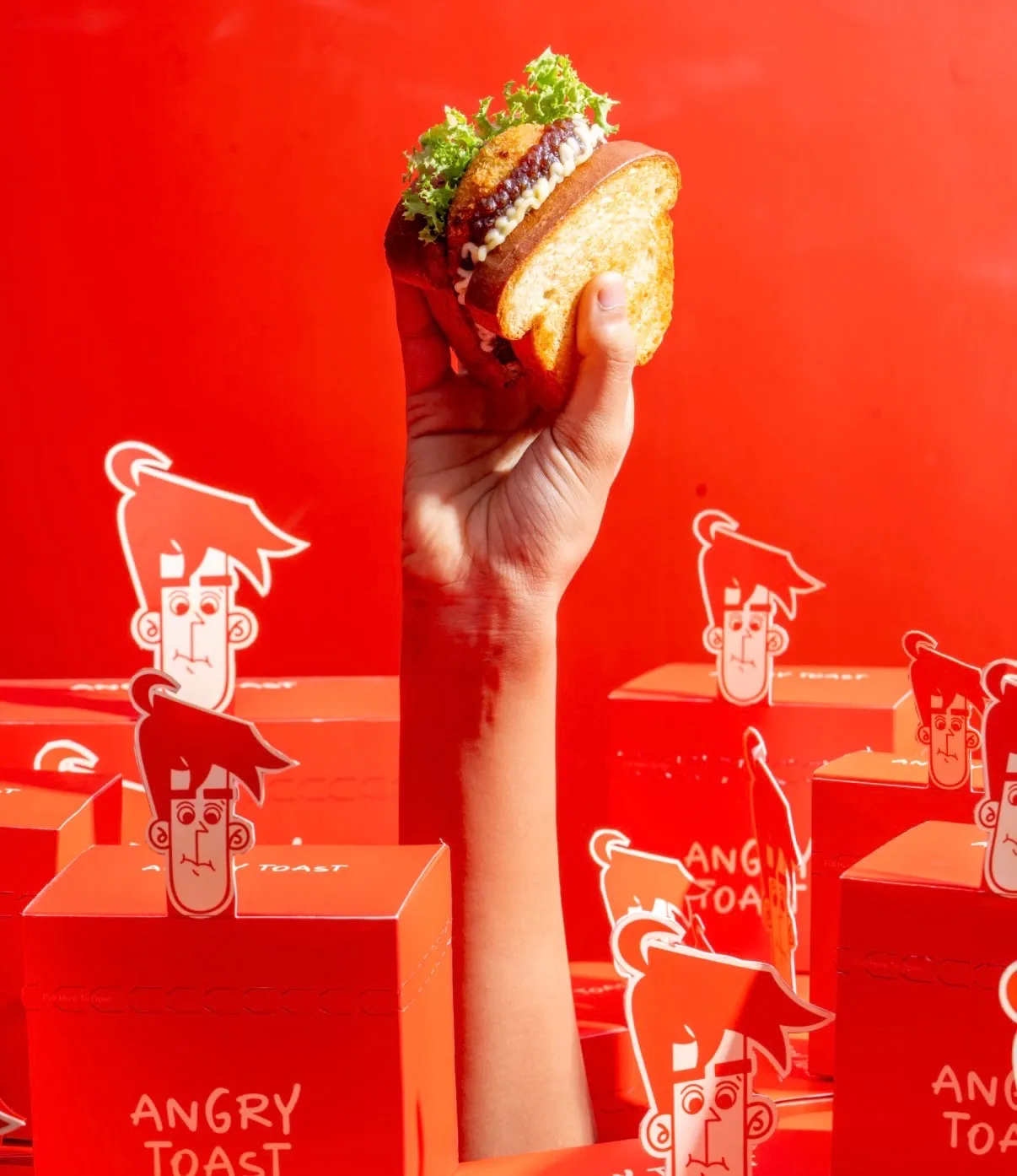 A hand raising a sandwich above a field of Angry Toast boxes